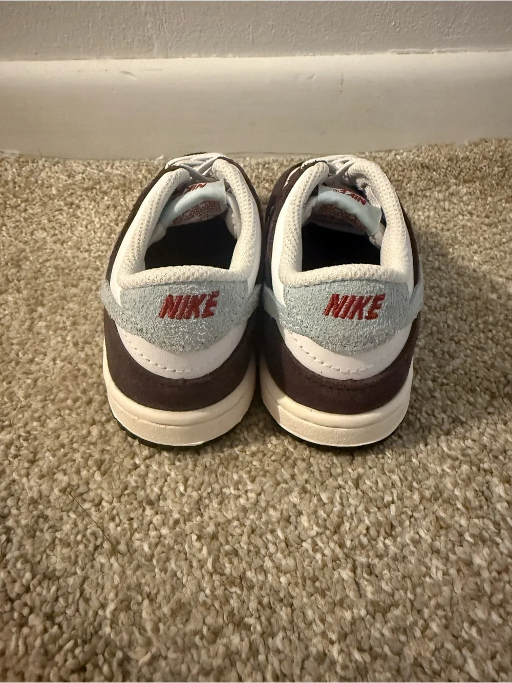 Kids Nike Dunk Lows